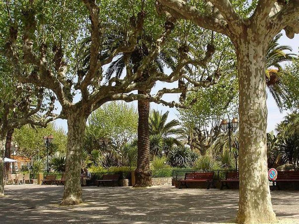 183 D36 LE LAVANDOU_000061.jpg